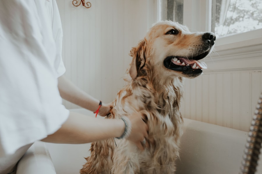 A gentle moment with a beloved pet